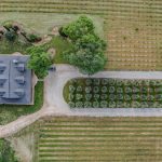 Youngs Vineyard Winery and Estate
