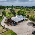 Youngs Vineyard Winery and Estate
