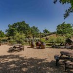 Youngs Vineyard Winery and Estate