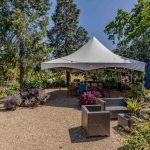 Youngs Vineyard Winery and Estate