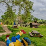 Youngs Vineyard Winery and Estate