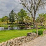 Youngs Vineyard Winery and Estate