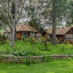Youngs Vineyard Winery and Estate