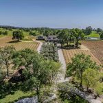 Youngs Vineyard Winery and Estate