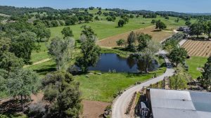 Youngs Vineyard Winery and Estate