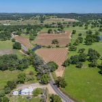 Youngs Vineyard Winery and Estate