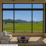 Antonio Mountain Vineyard Petaluma Gap AVA