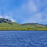 Antonio Mountain Vineyard Petaluma Gap AVA
