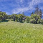 Gorgeous Gold Country Ranch