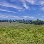 Gorgeous Gold Country Ranch