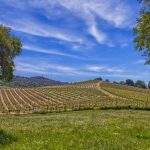 Gorgeous Gold Country Ranch