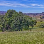 Gorgeous Gold Country Ranch
