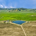 Antonio Mountain Vineyard Petaluma Gap AVA