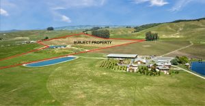 Antonio Mountain Vineyard Petaluma Gap AVA