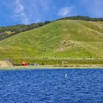 Antonio Mountain Vineyard Petaluma Gap AVA