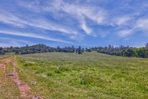 Gorgeous Gold Country Ranch