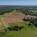 aerial-view-of-vineayrd-amador-county.