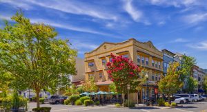 flowering tree downtown windsor california