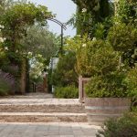 vineyard-estate-garden-steps-south-of-france