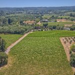 Cresta Ridge Vineyard Green Valley AVA