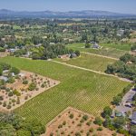 Green Valley AVA Aerial View of vineyards