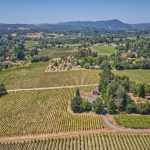 Green Valley AVA Pinot Noir Vineyard