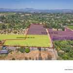 Green Valley AVA Sonoma County Vineyard Lease