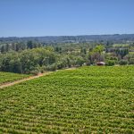 Green Valley AVA and red barn
