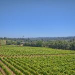 Green Valley AVA hills and vineyards