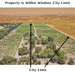 Russian River Valley Vineyard Future Development Potential