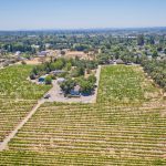 Windsor California vineyard in city limits