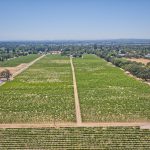 aerial view vineyard Windsor Russian River Valley AVA