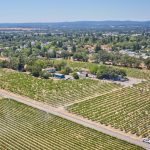 vineyard in Windsor California City limits