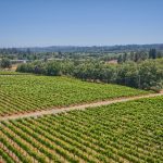 vineyard overlooking Green Valley AVA Sonoma County