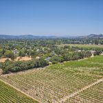 vineyard rows Sonoma County
