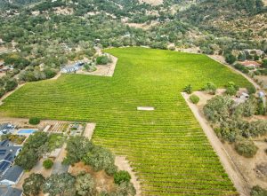 Aerial Cabernet Sauvignon Vineyard Sonoma County