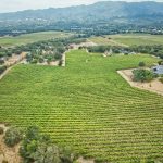Aerial view of Rassi Vineyard Sonoma Valley