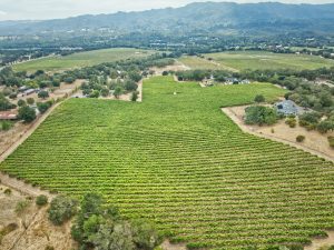 Aerial view of Rassi Vineyard Sonoma Valley