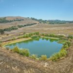 Irrigation Pond Petaluma Gap AVA