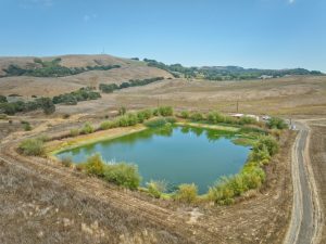 Irrigation Pond Petaluma Gap AVA