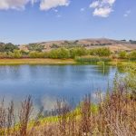 Irrigation Pond Sonoma County