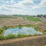 Irrigation Pond and vineyard Sonoma Coast AVA