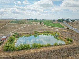 Irrigation Pond and vineyard Sonoma Coast AVA