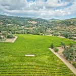 Moon Mountain AVA Cabernet