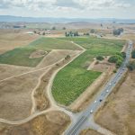 Petaluma Gap AVA Vineyard Stage Gulch Road