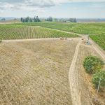 Potential Estate Site Petaluma Sonoma County