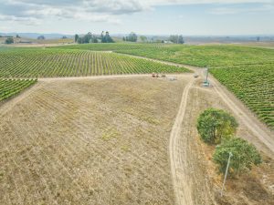 Potential Estate Site Petaluma Sonoma County
