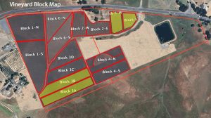 Sonoma Stage Vineyard Block Map