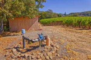 well in Sonoma Valley