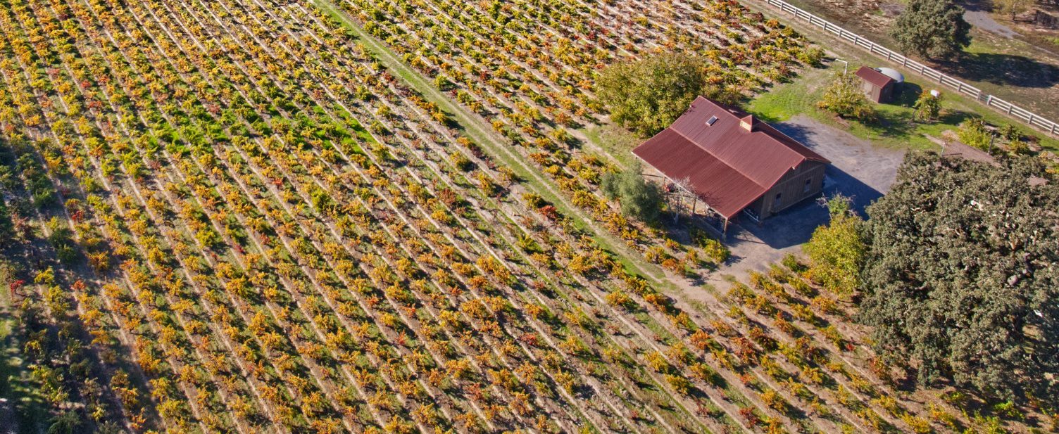 Iconic Carlisle Vineyard Sonoma County